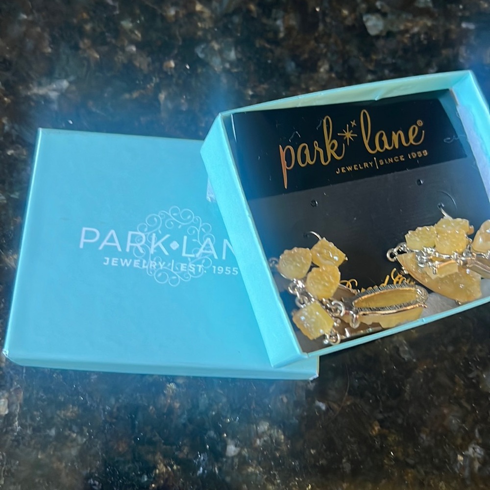 Park Lane Earings